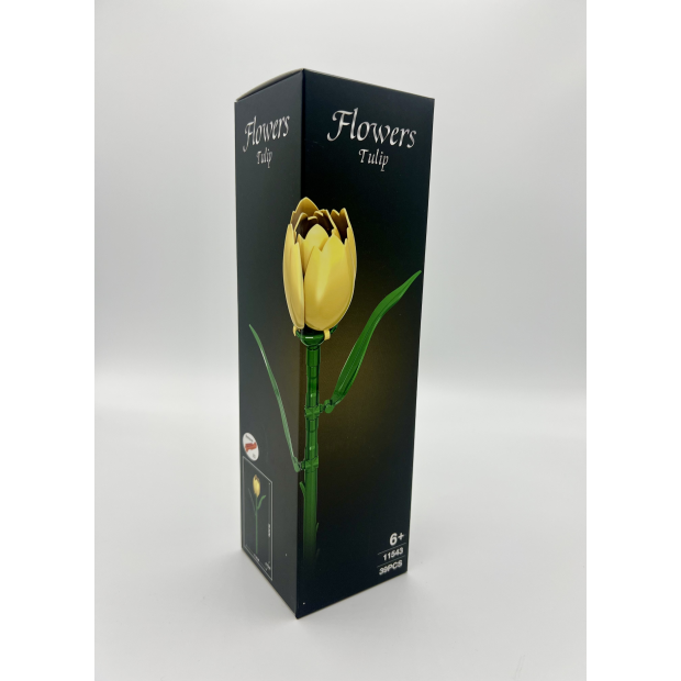 woma 11543 Gelbe Tulpe